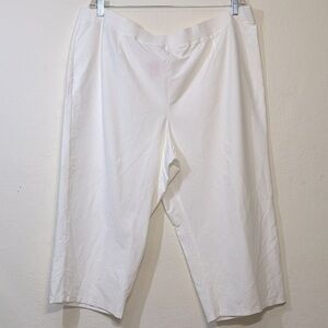 Eileen Fisher Bone Viscose Pants Sz. 3X